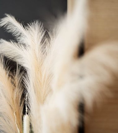 Questions fréquentes